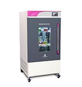 ����|�����������B(y��ng)��