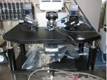 NSS-1T���@΢�RX-Y�Ƅ�(d��ng)�_(t��i)�c֧��ƽ�_(t��i)