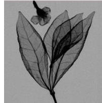 ֲ���(bi��o)��x�����ϵ�y(t��ng)