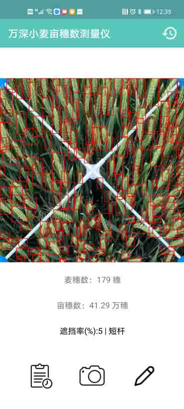 SC-MS增強(qiáng)型Ai智能小麥畝穗數(shù)測(cè)量分析儀