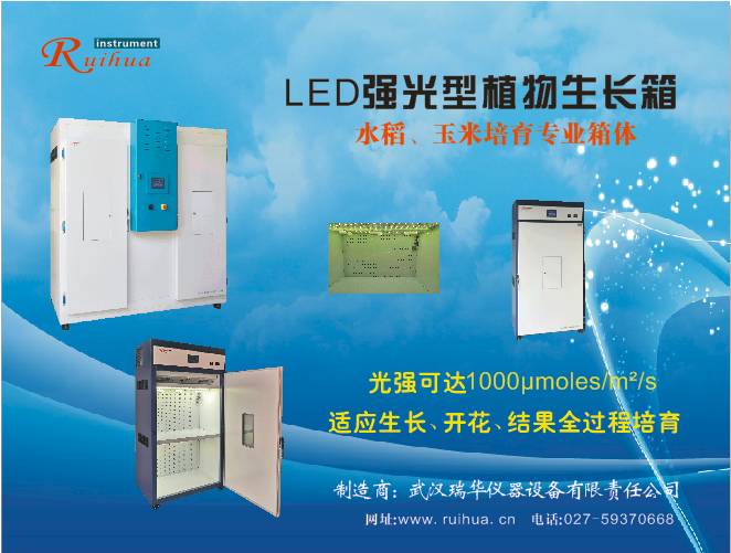 LED������ֲ�����L��