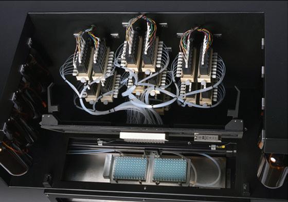 LGC ������ DNA/RNA�ϳɃx