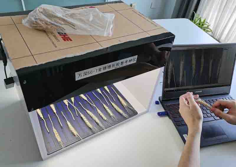 萬深SC-T型Ai智能小麥穗形粒數(shù)考種儀