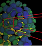 ��(gu��)�ƿ� �˹����܈D�����ܛ�� Aivia