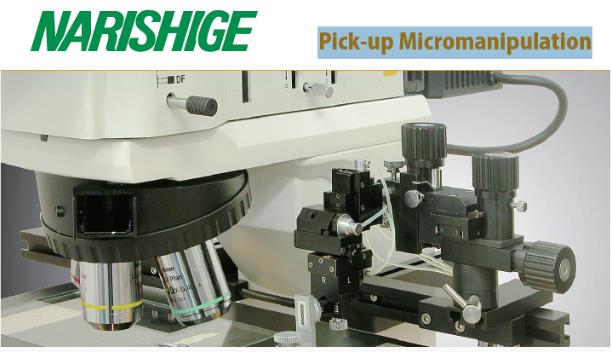 Narishige �����@΢����ϵ�y(t��ng)