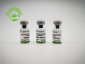 植物源重組人角質(zhì)細(xì)胞生長(zhǎng)因子OsrhKGF