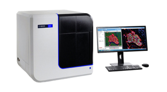 Akoya �M����Ƭ��������ϵ�y(t��ng)