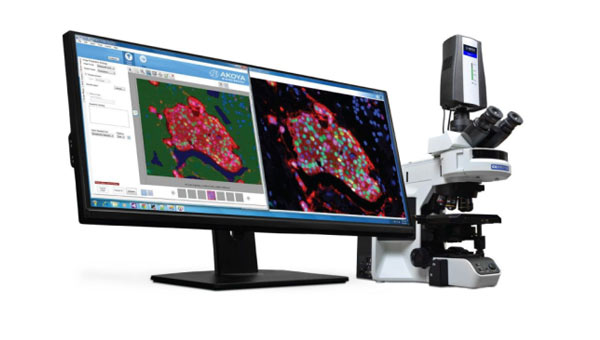 Akoya�M����Ƭ���Ԅ�(d��ng)������������վMantra