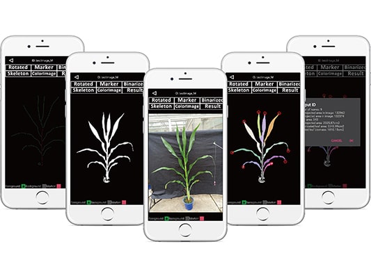 ��yʽֲ����ͷ����x-�ֳ�ʽ���ͷ����x��