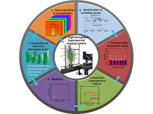 ֲ��߹��V����-ֲ����ͳ������ϵ�y(t��ng)