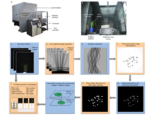 ��ͨ��ֲ����ͷ���ƽ�_(t��i)-��(sh��)�(y��n)�ұ���ϵ�y(t��ng)