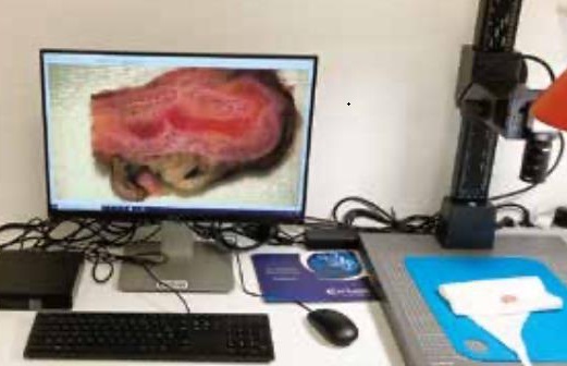 PathScan Macro�����h�̌��r�^��ϵ�y(t��ng)