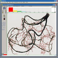 ��ϵ����ϵ�y(t��ng)����WinRHIZO