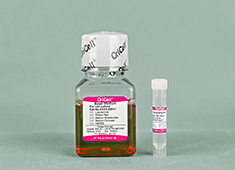 OriCell® ��(j��ng)Ԫ��(x��)����ȫ���B(y��ng)��*