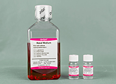 OriCell® С����̥�ɼ�(x��)���oѪ�����B(y��ng)��