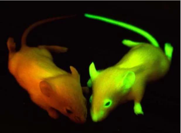 �_��ʽ���l(f��)��Դ