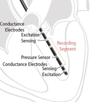 �������ݷe��(d��o)�ܣ�С�����ݷe��(d��o)��