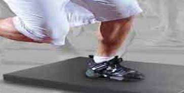 BERTEC  �y���_