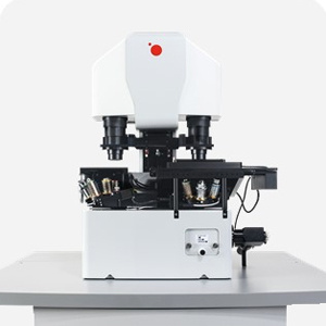 �o(w��)��(bi��o)ӛ�(x��)���������ϵ�y(t��ng)-Q-Phase