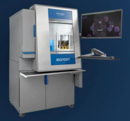 Bigfoot ȫ���V��������ʽ��(x��)�����x�x