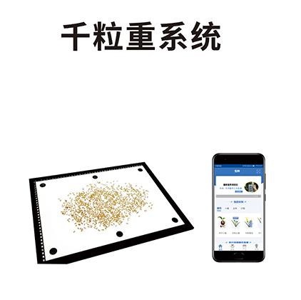 ǧ���؃x-ǧ����ϵ�y(t��ng)