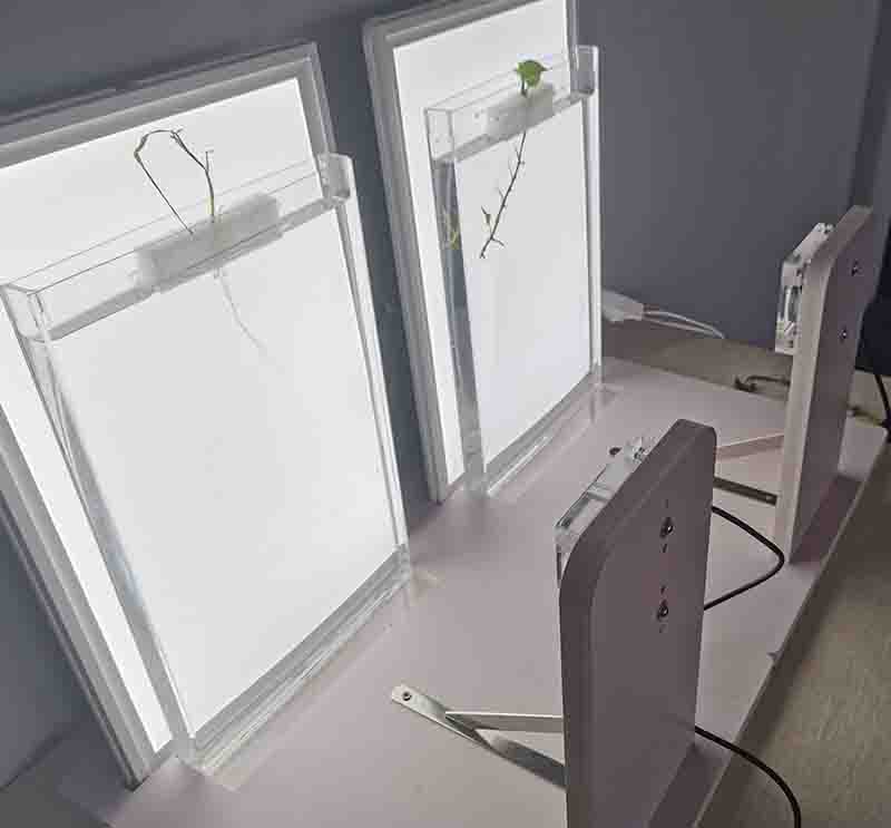 �f��RootGA��ϵ�ӑB(t��i)���L�O(ji��n)�y����ϵ�y(t��ng)