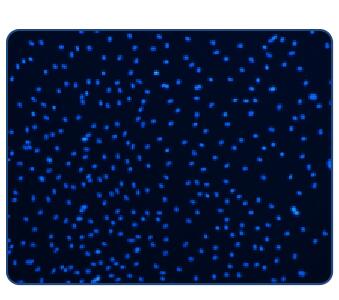 С��ԭ������