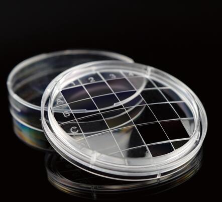 NEST ���|��