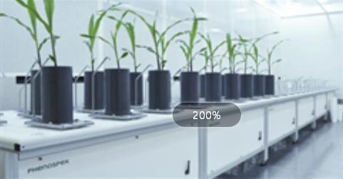 FieldScale�u��ֲ������v����