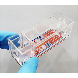 Cellpuri һ����΢���ؼ������x������