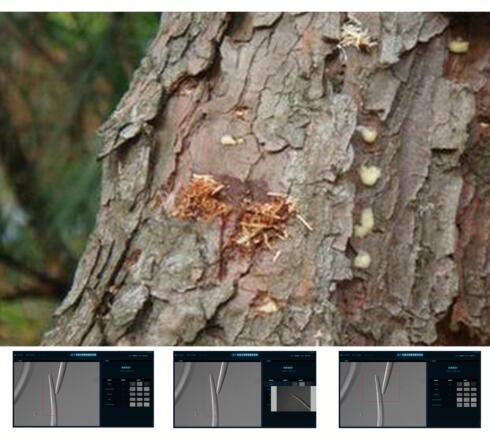 �ɲľ��x�Ԅ��R�eϵ�y(t��ng)