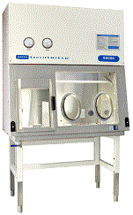 ������ʽ��ˎ����x������