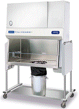 ����U����̎���_