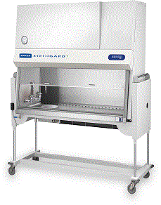 ��������_