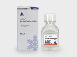 ����һ������Һ