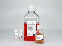 ����֬���g���|(zh��)�ɼ�(x��)���������B(y��ng)��