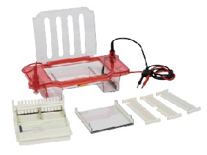 ˮƽ��֬���Ӿ��