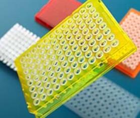 ِĬ�wArmadillo PCR(li��n)�ܰ�