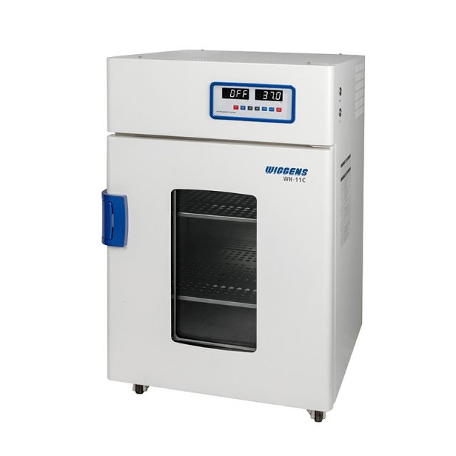 WIGGENS WHϵ�� �͜��������B(y��ng)��