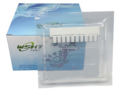 Plastic gel �A(y��)���z Bis-Tris