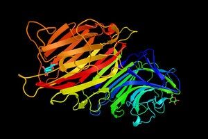 PurexaTM-NAEX ����x�ӌ���Ĥ