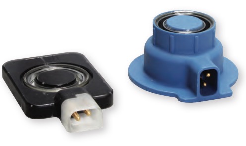 ��(x��)����ںϳ�