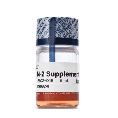 Gibco N-2 ���ӄ� (100X) 5����17502048