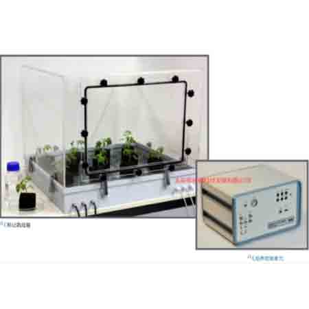 C13���w��(bi��o)ӛֲ�����B(y��ng)ϵ�y(t��ng)