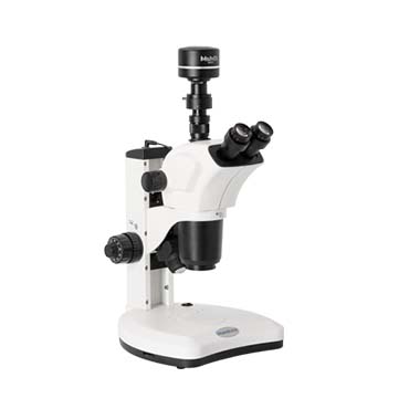 �wҕ�@΢�RMZ101