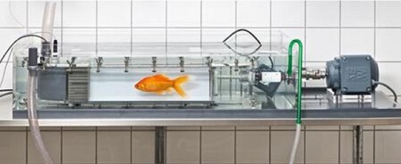 ����Loligo systems�~(y��)�(l��i)��Ӿ�������xӾ��