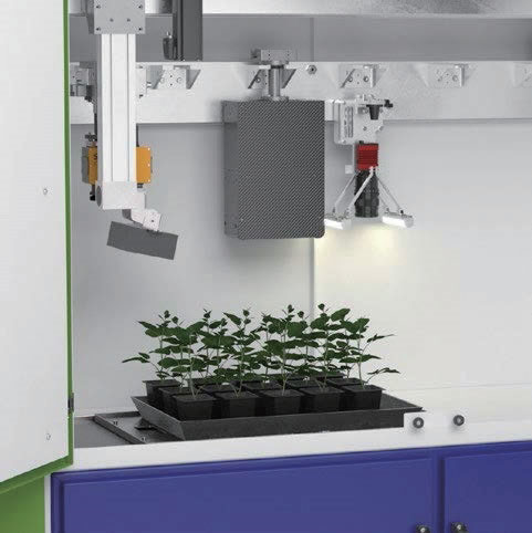 ����Ҷ�������ֲ�����ƽ�_HyperAIxpert