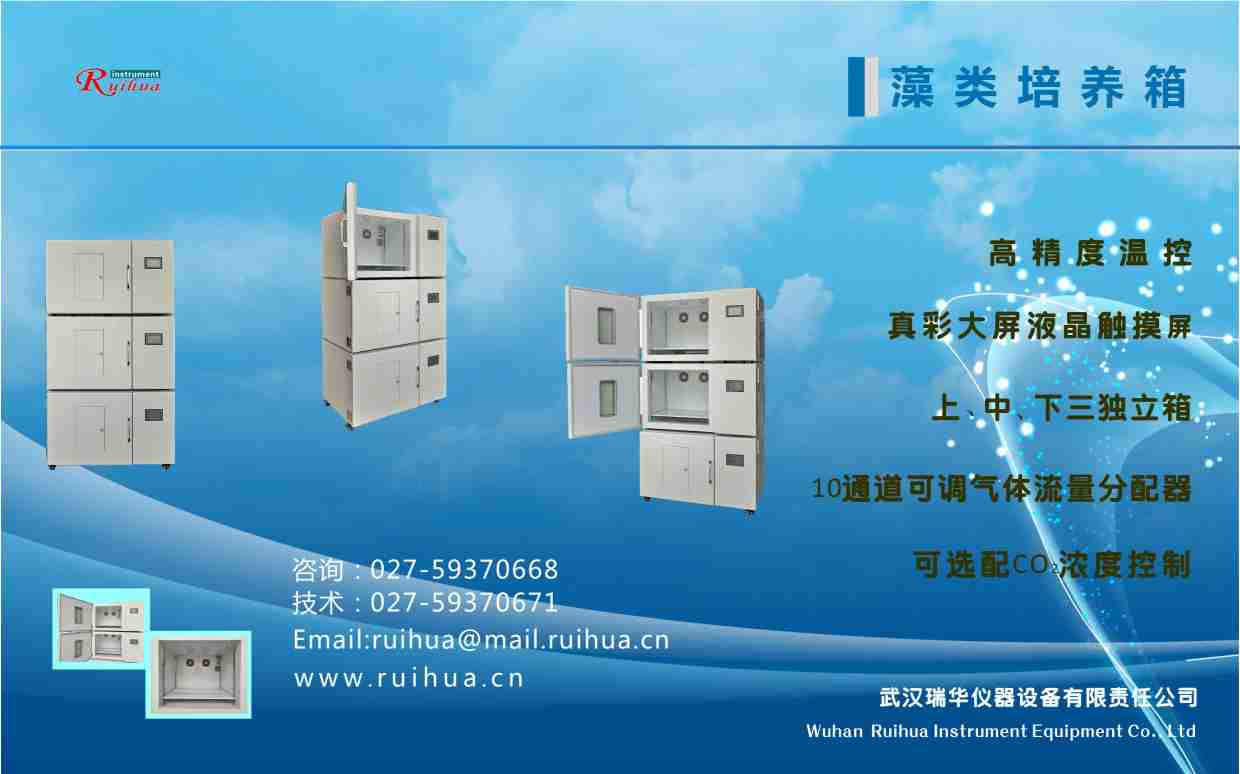 ������B(y��ng)��