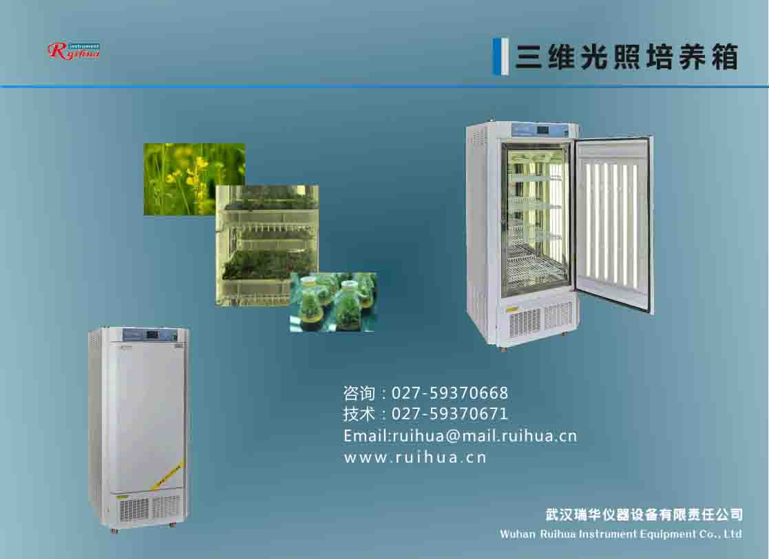 ���S�������B(y��ng)��