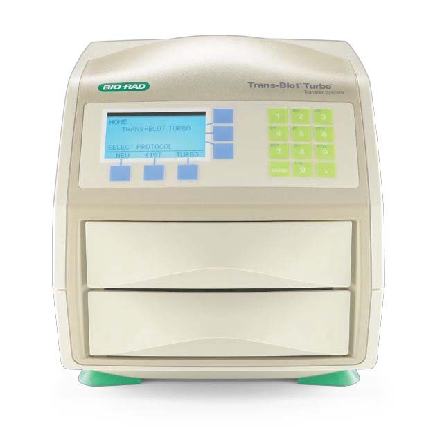 Trans-Blot® Turbo �����D(zhu��n)ӡϵ�y(t��ng)